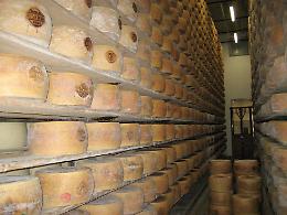 Banda del buco, via le forme di grana