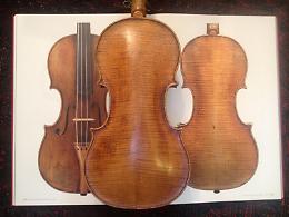 Expo Milano, dopo l'Arcimboldo
a Milano un violino Stradivari
