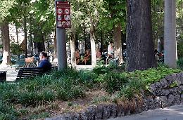 Piazza Roma tra degrado e topi