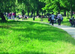 Un nuovo gioco inclusivo sarà installato al Parco al Po