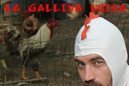 In corso Garibaldi mercoledì 26 la gallina Luisa
