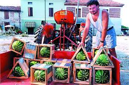 Angurie quadrate, brevetto: Fava pronto a incontrare Feroldi