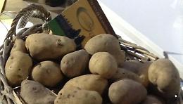 Sagra della Patata di Martinengo (Bg), domenica 20 settembre
