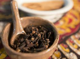 Rovato. La via delle spezie: un corso al Castello Quistini Domenica 4 ottobre