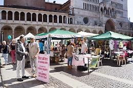 Le immagini della Festa del Volontariato 2015 a Cremona