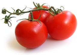 OroRosso: il festival del pomodoro di Piacenza 
