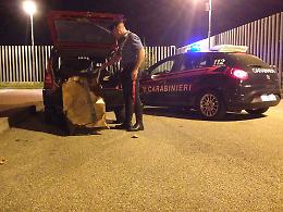 Ladri ritentano furto di rame, ad aspettarli ci sono i carabinieri