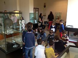 Famiglie al museo domenica a Cremona e provincia