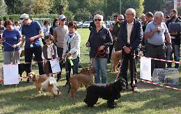 Benedizione degli animali, le foto 