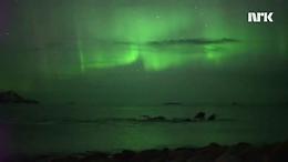 Norvegia, megattere sotto l'aurora boreale: lo spettacolo è unico