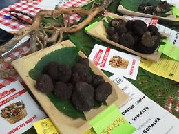 A Calestano (Pr) la Fiera del tartufo nero di Fragno Fino al 15 novembre