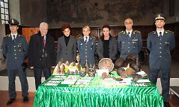 I reperti archeologici al Museo Civico