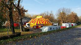 Arriva il circo, animalisti sul piede di guerra