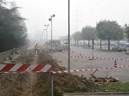 Radici pericolose, via gli alberi