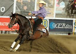  Cavalli e cavalieri a Cremona fino al 22 novembre