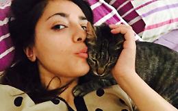 Siria, gattile in memoria di Ernesto