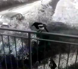 Attaccate dalla gazza, scatta la cattura