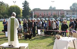 S.Antonio, benedizione degli animali al santuario della Fontana