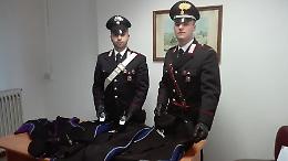 Liberi, ladri 'palombari' arrestati di nuovo