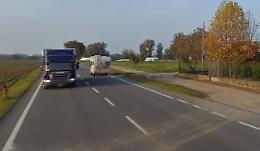 Mucche in fuga, strada bloccata