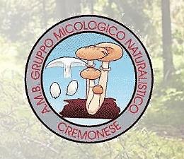Gruppo micologico, tutti gli appuntamenti della stagione 2016