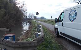 Altro sversamento del Naviglio, pesci spariti fino al Migliaro