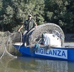 ‘Stretta’ sui predoni del Po