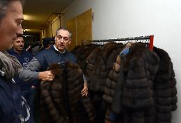 Le immagini del sequestro di pellicce