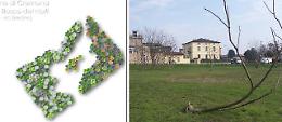 Il bosco dei nuovi nati