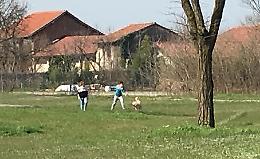Cani e padroni, è giro di vite