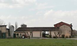 Cascine nel mirino dei ladri: furti lampo in pieno giorno