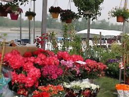 ‘Georgica , festa della terra e delle acque sabato e domenica a Pomponesco
