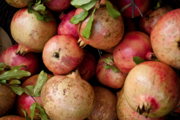 Pontenure (PC). "Frutti Antichi", la rassegna di piante, fiori e frutti dimenticati