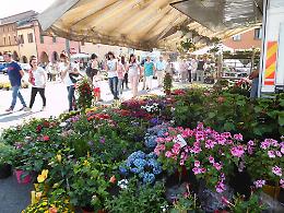 Tre giorni in piazza  e Pizzighettone in Fiore