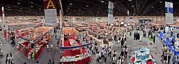 Fiera Internazionale del libro, Crema e Cremona protagoniste ad Abu Dhabi