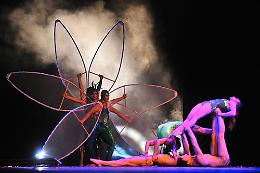 Franco Agostino Teatro Festival
Finale ‘ in volo’ con i Sonics
Sabato 28 in piazza Duomo e Garibaldi