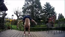  Yoga, figure acrobatiche in equilibrio su due mani
