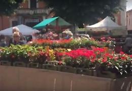 La Fiera dei fiori di Monticelli d'Ongina