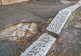 Buche, erbacce e sporcizia: viale Trento e Trieste insorge
