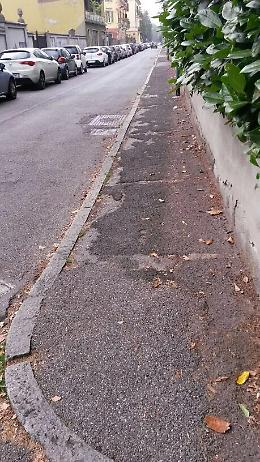 Le foto dell'incuria nel Quartiere Po