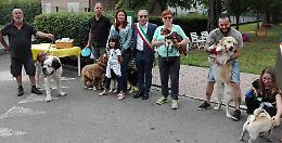 Ecco la nuova area cani