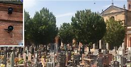 Megafoni contro i piccioni