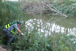 Pescatori di frodo sul Riglio