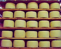 Pecorino Sardo DOP e Pecorino Sardo Dop Maturo