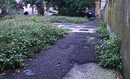 Sporcizia e degrado, monta la protesta in piazza Gallina