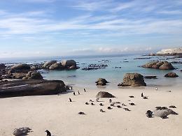 Le immagini di Francesca Scazzoli in Sudafrica