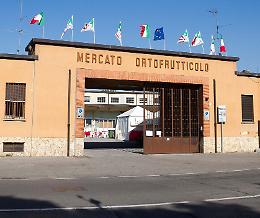 L'ex mercato ortofrutticolo torna a 'rivivere' da settembre