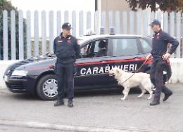 La movida sotto controllo