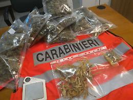 Detenzione e coltivazione di droga, arrestati marito e moglie