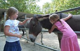 Asino Day, riuscita la festa delle associazione no profit
